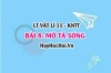 Lý thuyết Vật lí 11 Kết nối tri thức bài 8: Mô tả sóng: Các đại lượng đặc trưng của sóng